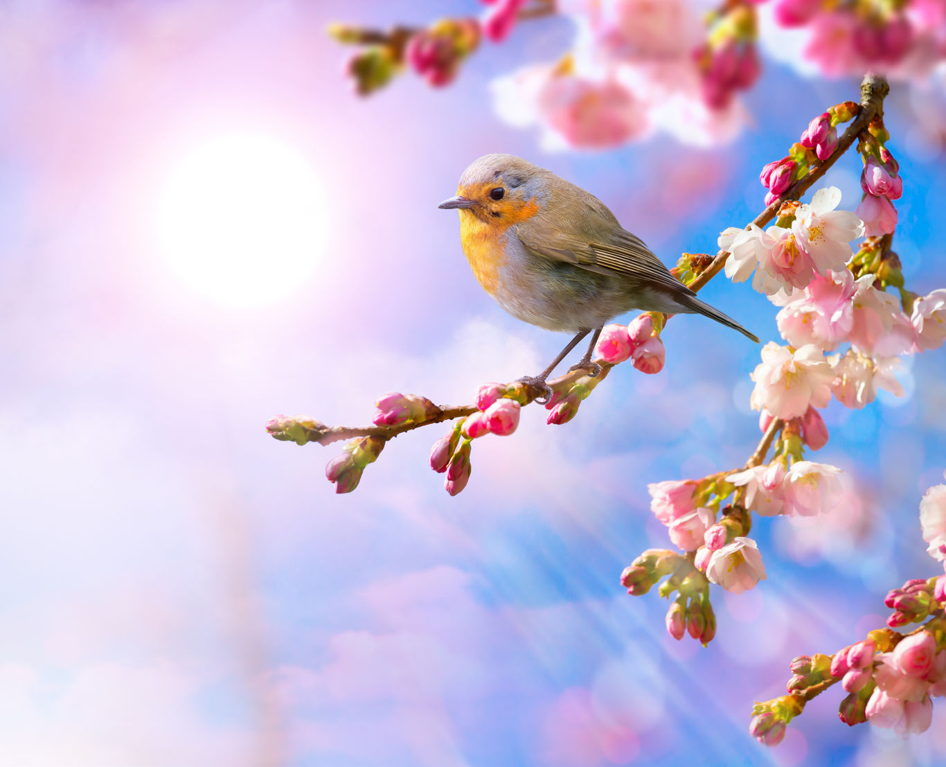 abstract Spring beautiful landscape background