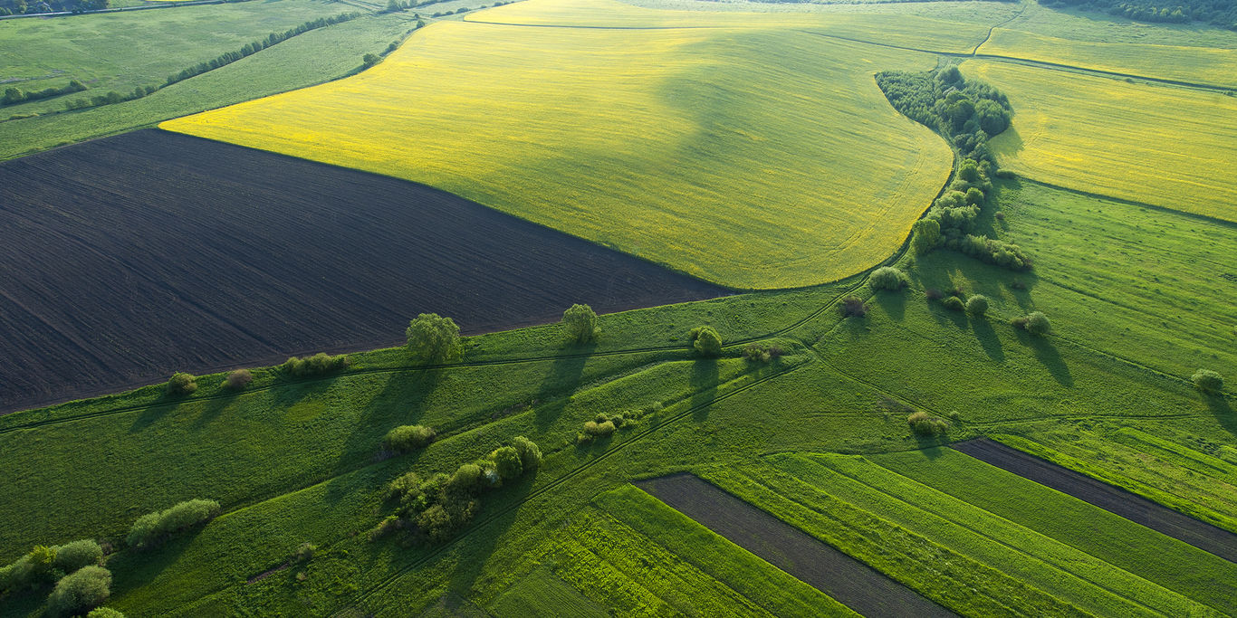 Field countryside