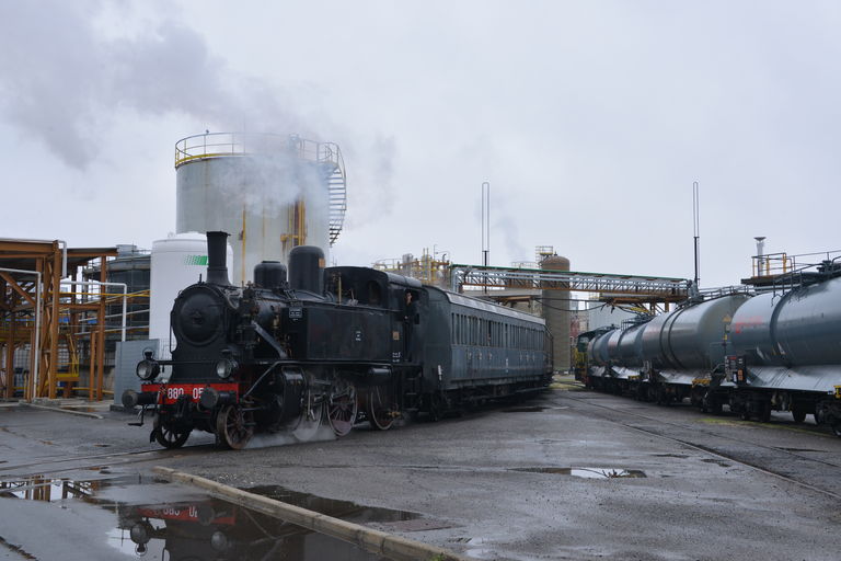 DSC_4336