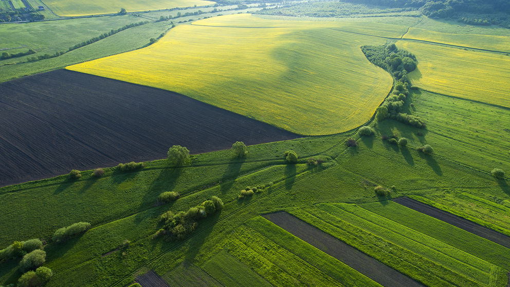 Field countryside